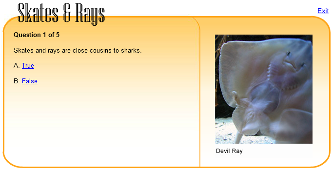 Skates & Rays Quiz