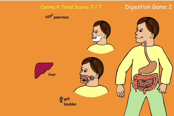 Digestion Game Level 2