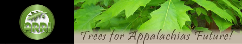 Trees for Appalachias Future! Banner