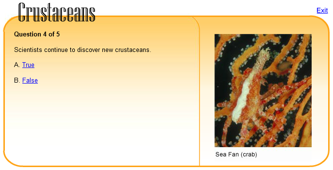 Crustaceans Quiz