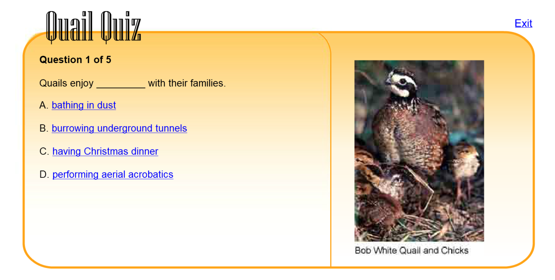 Quail Quiz