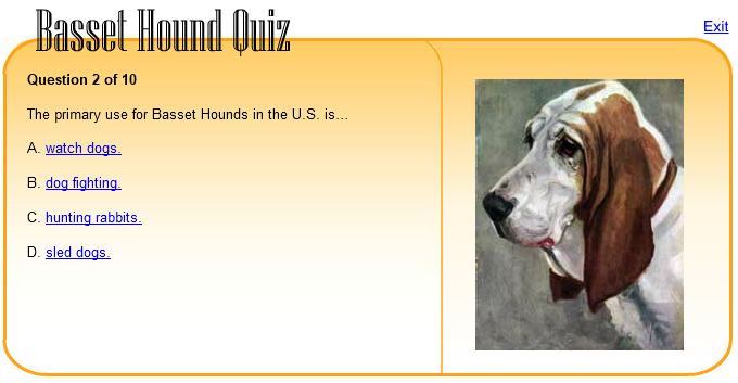 Basset Hound Quiz