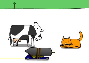 Other Animals  - Episode 4: Speed