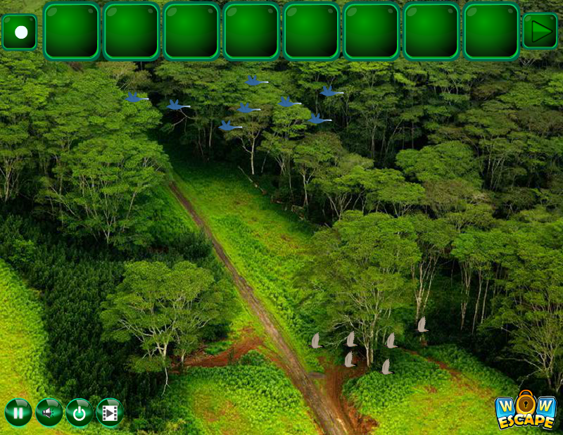 Rescue Alien Couple from Coniferous Forest