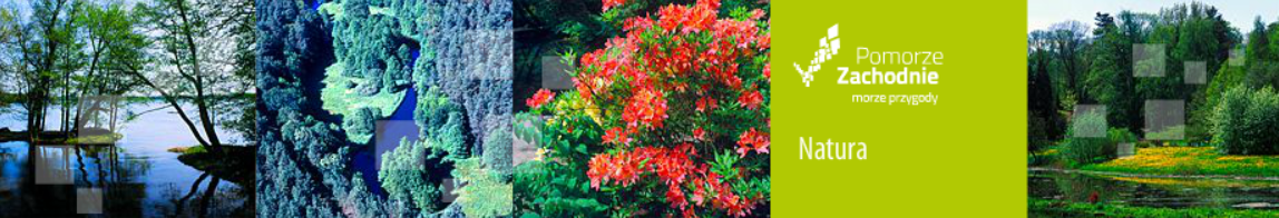 Pomorze Zachodnie: Natura Header