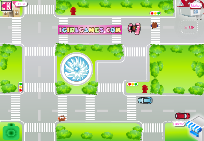 Susan's First Driving Day