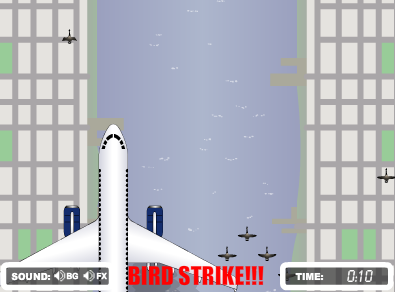 Double Bird Strike