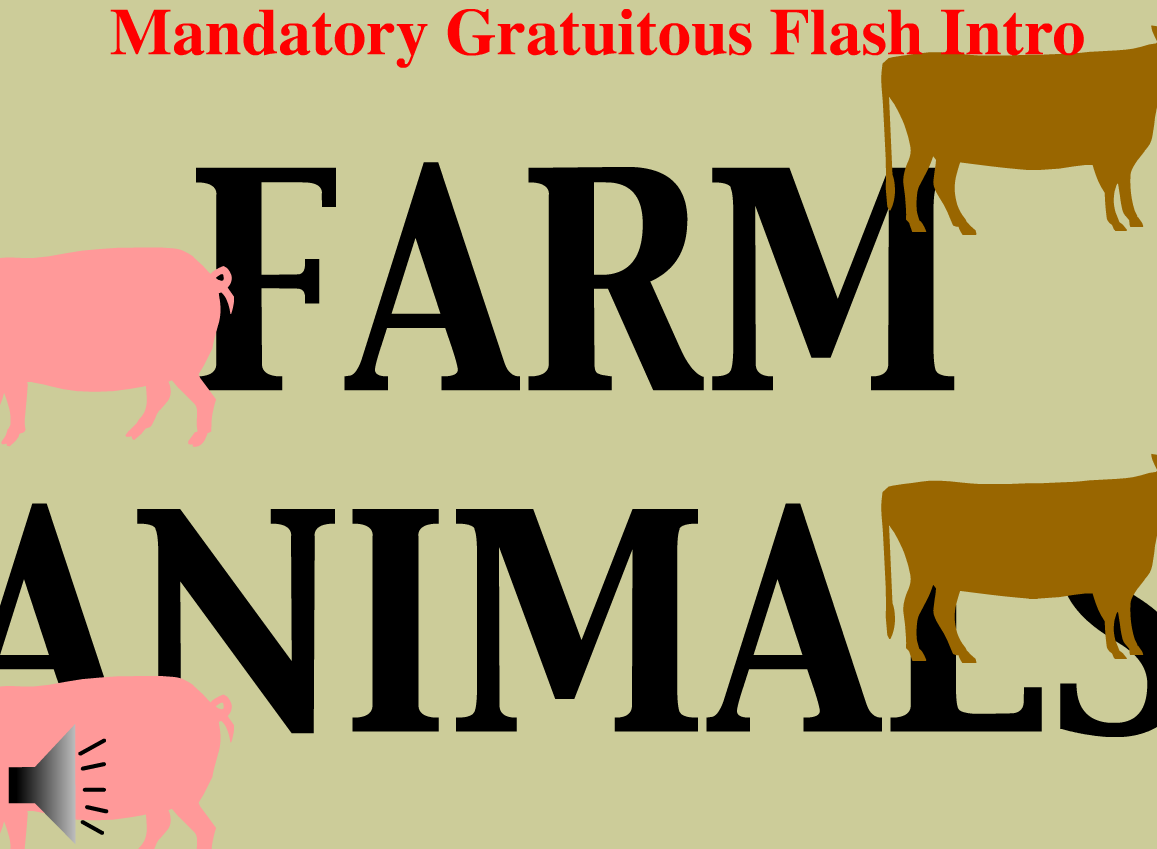 Mandatory Gratuitous Flash Intro