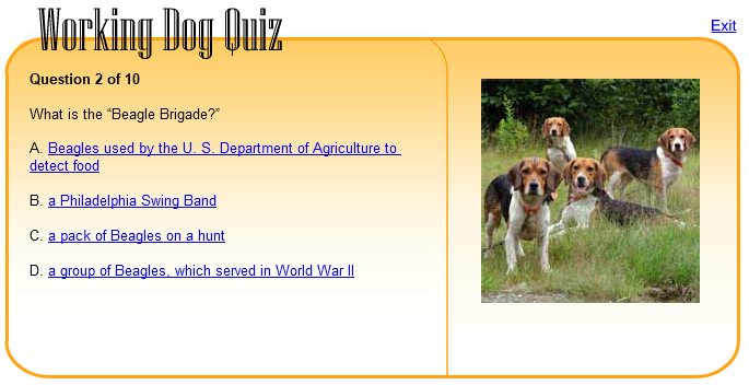 Working Dog Quiz