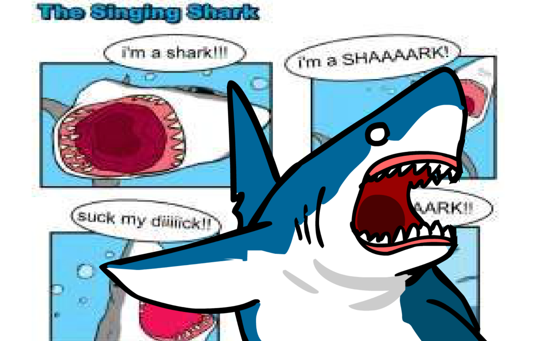 SHARK SONG