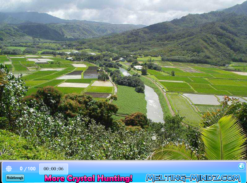 Super Sneaky Spy Guy: Crystal Hunter: Hawaii