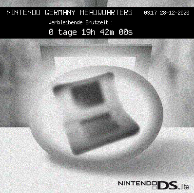 Nintendo DS Lite Countdown Banner