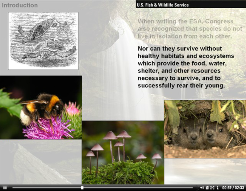 An Introduction to the Endangered Species Act of 1973