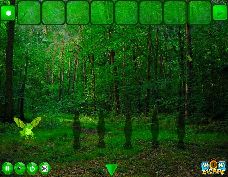 Miraculous Daylight Forest Escape