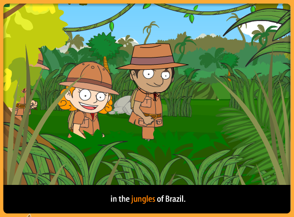 Jungles of Brazil