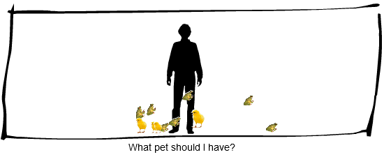 Pet