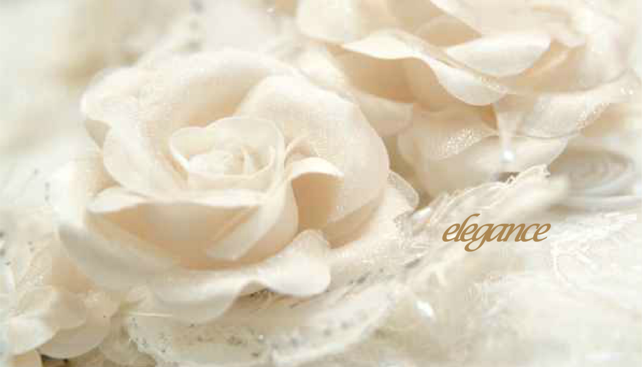 Sophia Wedding Collection Website Intro (Singapore)