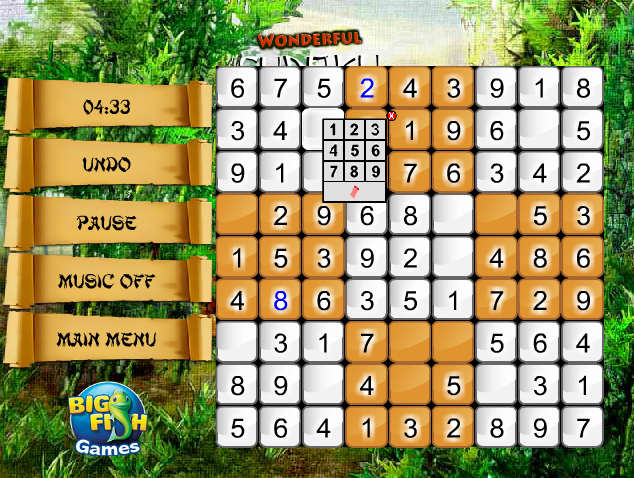 Wonderful Sudoku