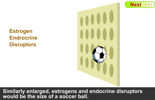 Reverse Osmosis (RO) Membrane