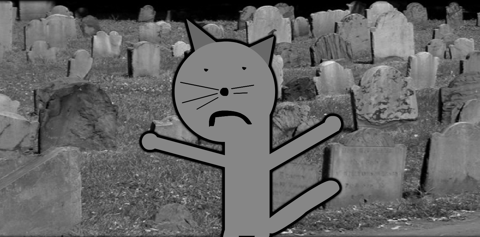 A Kitty Krew Apology