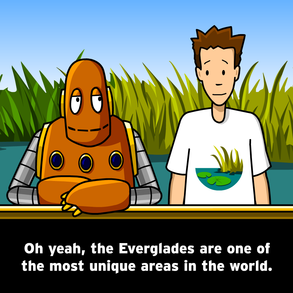 The Mysteries of Life With Tim & Moby: Everglades