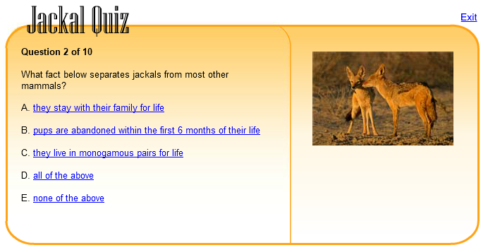 Jackal Quiz