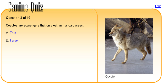 Canine Quiz