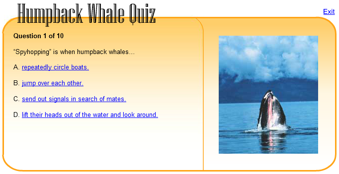 Humpback Whale Quiz