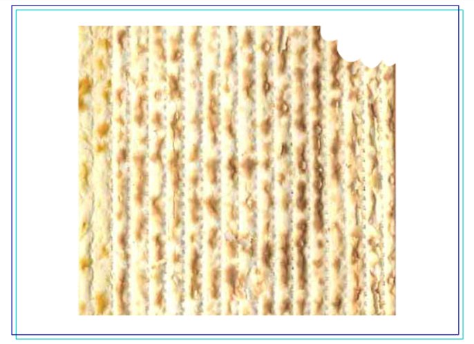 Rejoice in the Delicious Traditions of Passover!