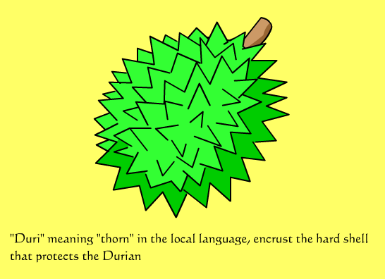 Durian