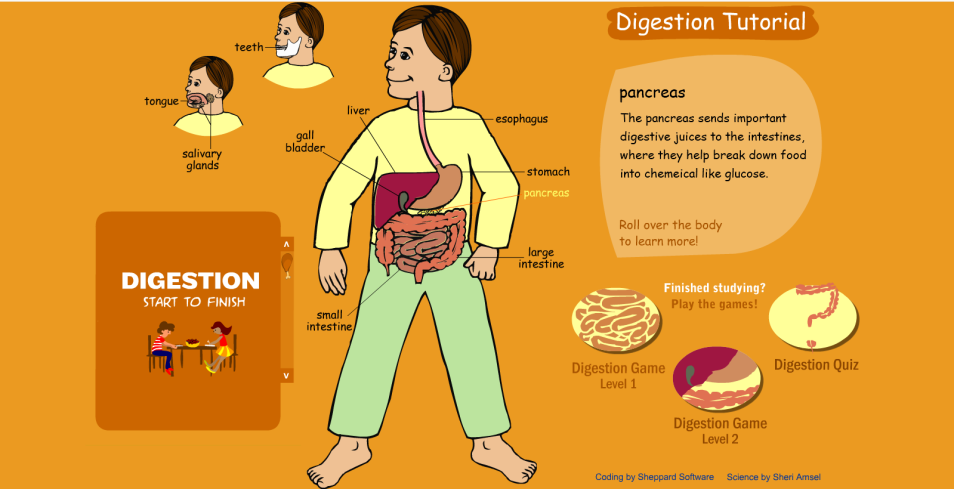 Digestion Tutorial