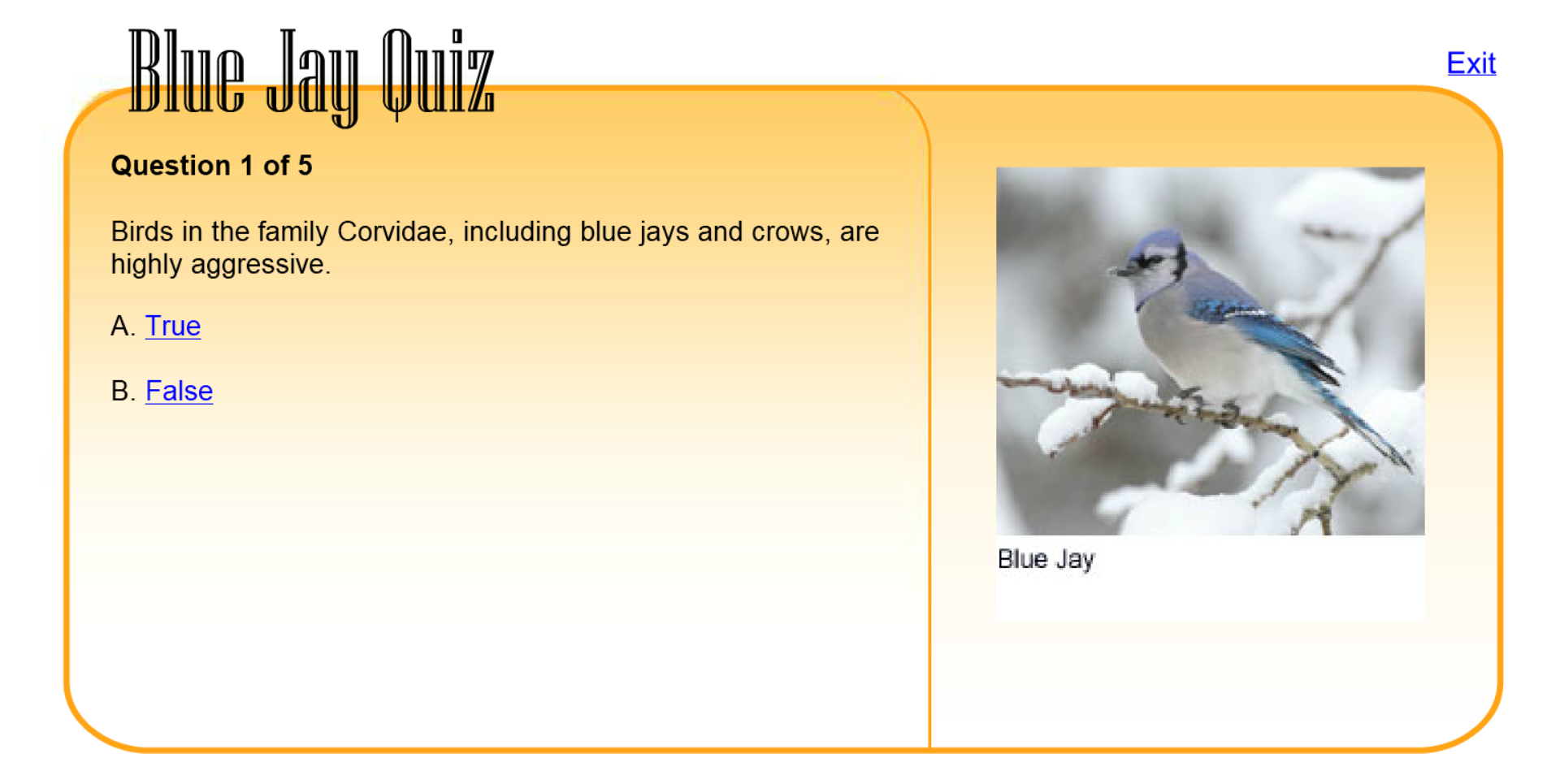 Blue Jay Quiz