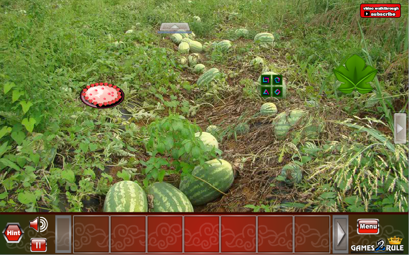 Little Lady Bugs Rescue