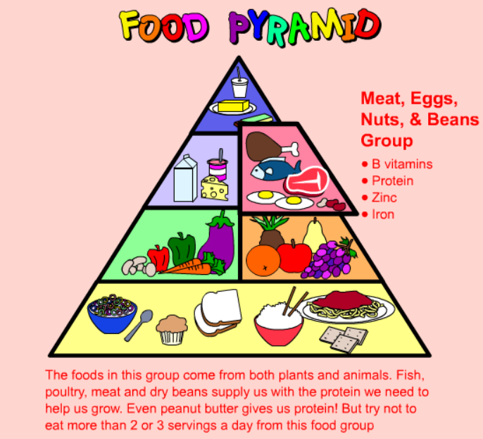 Food Pyramid