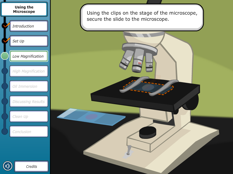 Using the Microscope