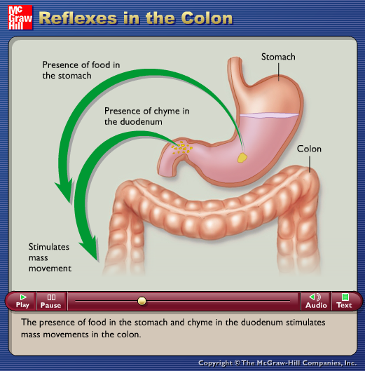 Reflexes in the Colon