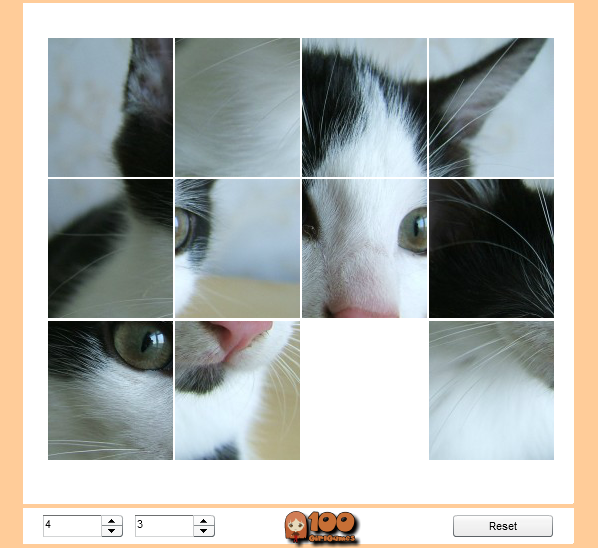 Puzzle with my Cat Niko