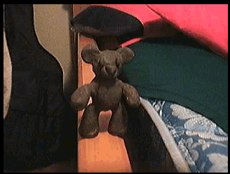 Stop Motion: Bear