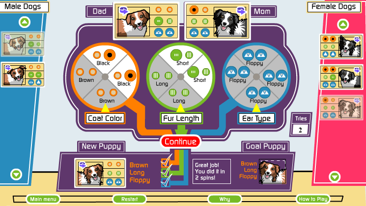 Dog Breeding