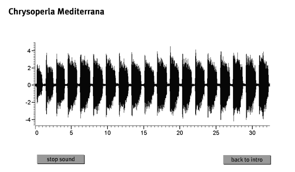 Isolating Mechanisms: Lacewing Songs