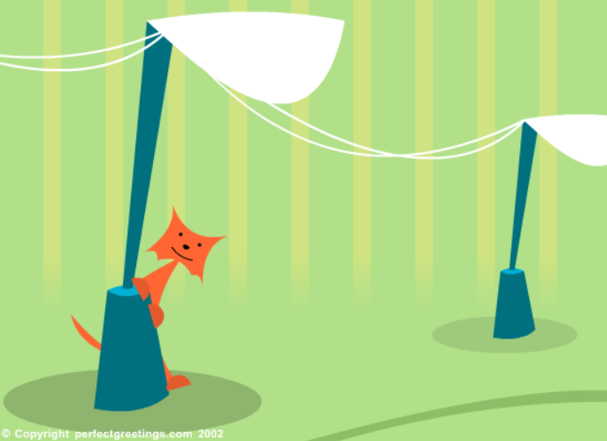 Congrats on Your New Pet Cat