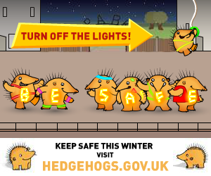 Hedgehogs Banner Advertisement