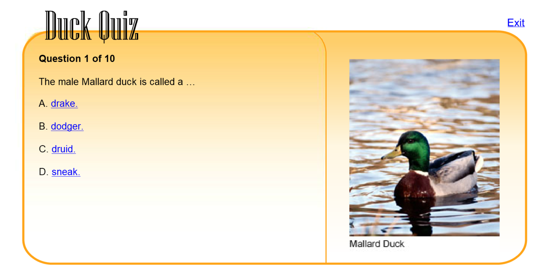 Duck Quiz