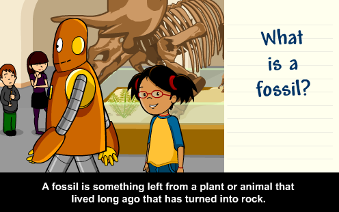 Fossils: with Annie & Moby