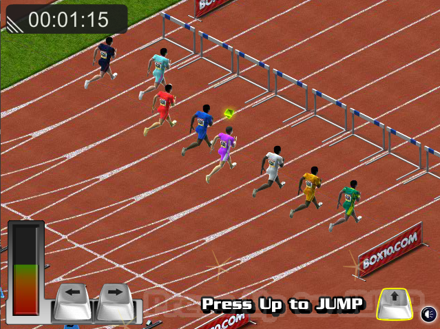 Hurdle Race