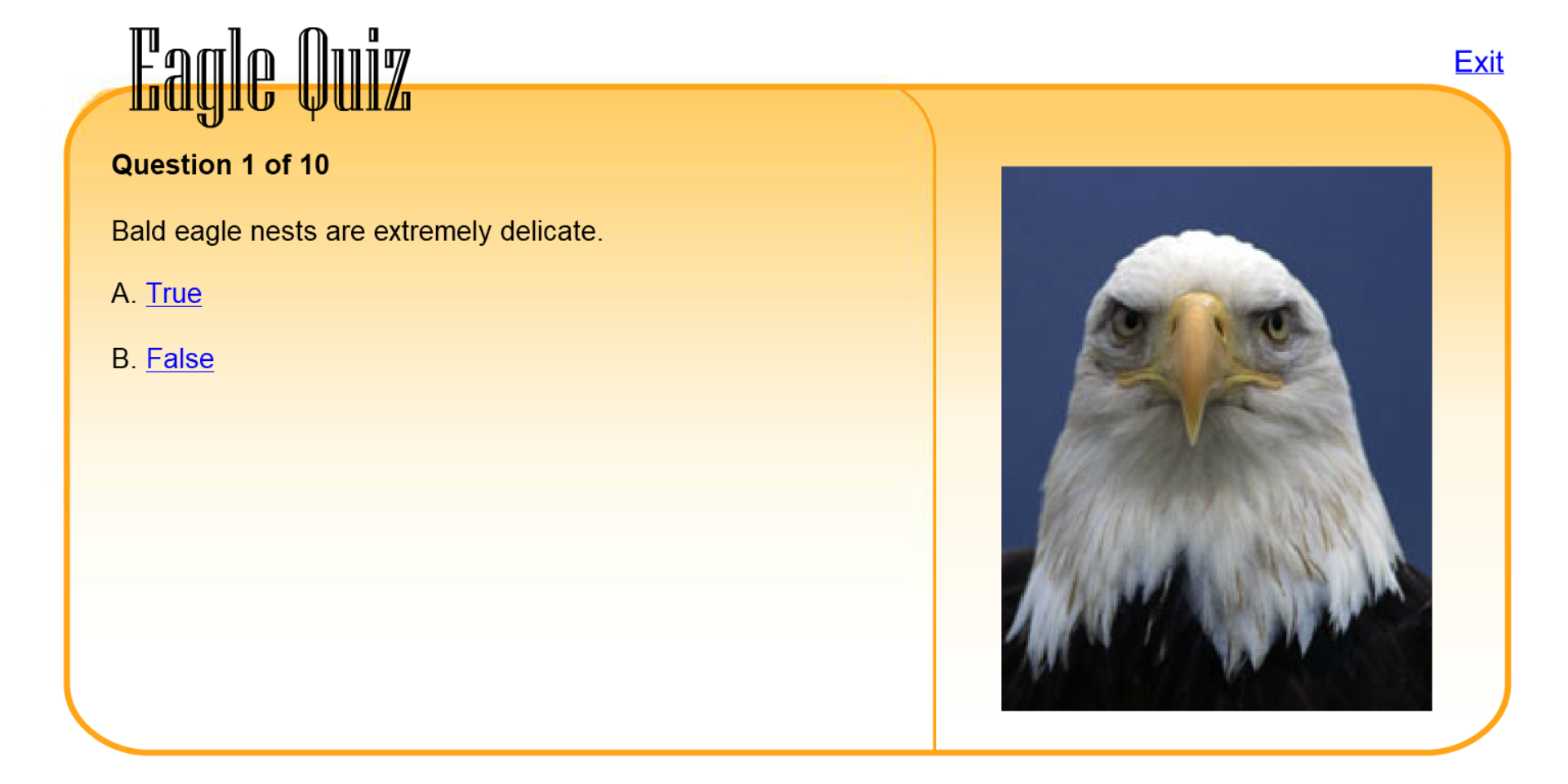 Eagle Quiz