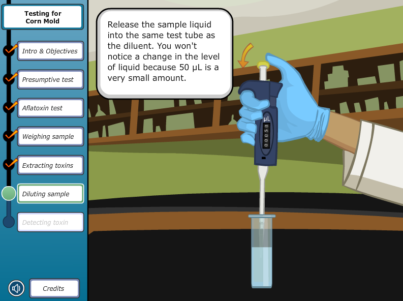 Virtual Labs: Testing for Corn Mold