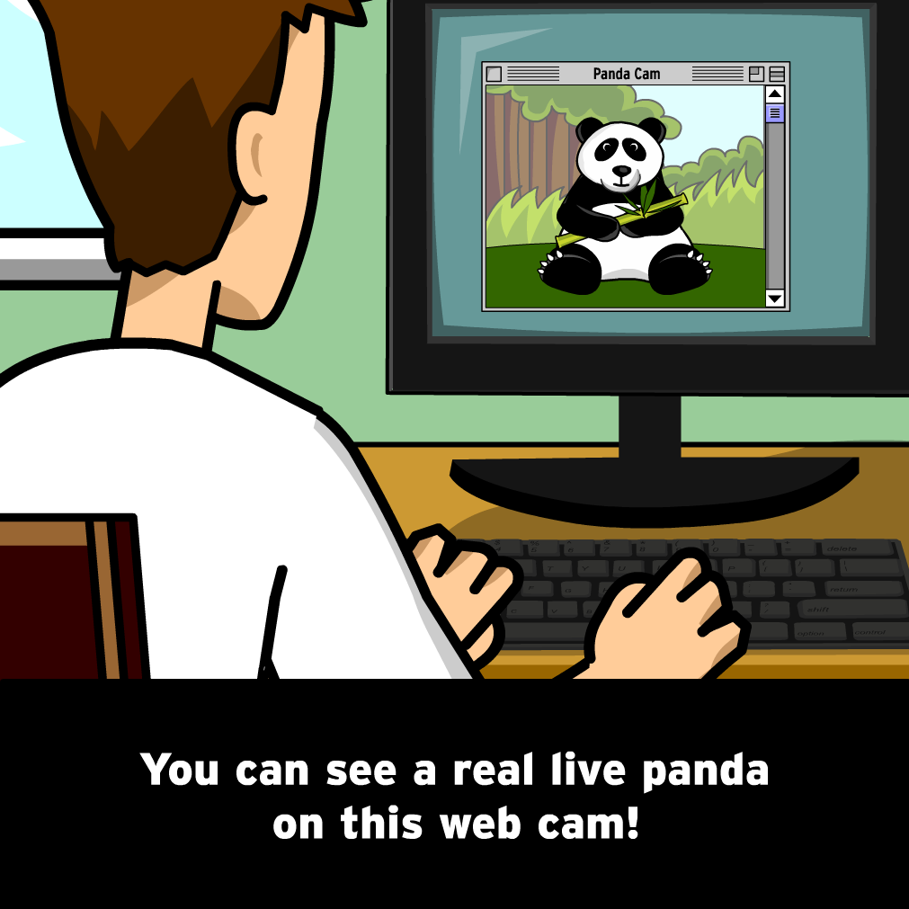 The Mysteries of Life With Tim & Moby: Pandas