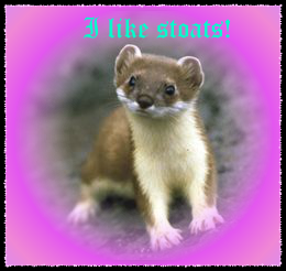 I like stoats