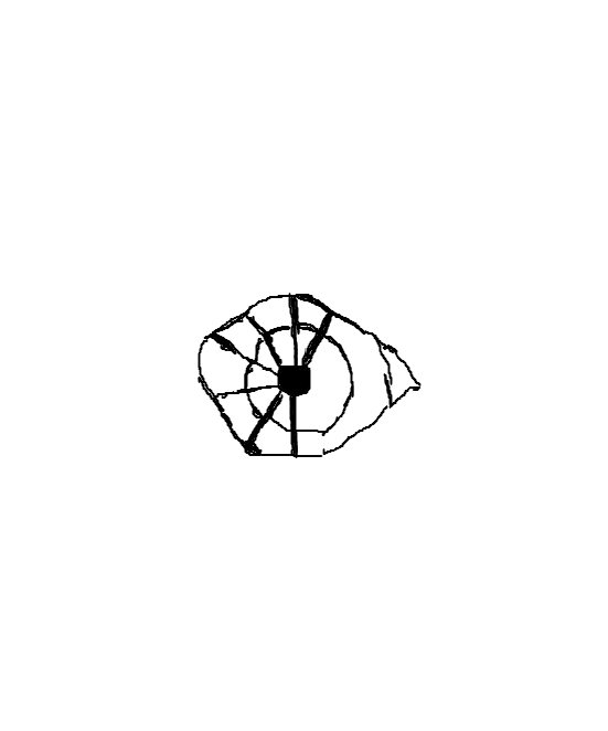 eye TF animation